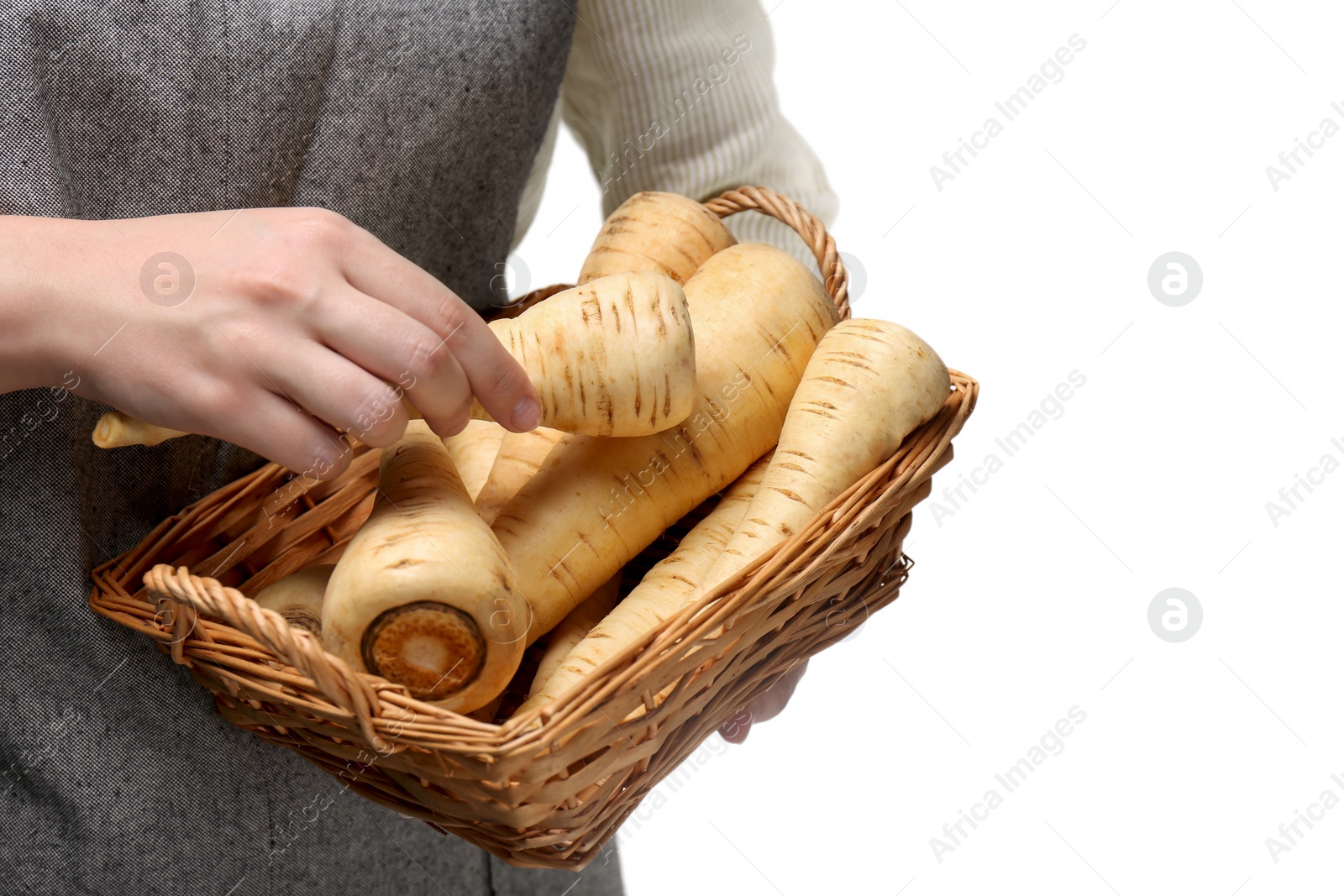 Photo of Woman with fresh ripe parsnips on white background, closeup. Space for text