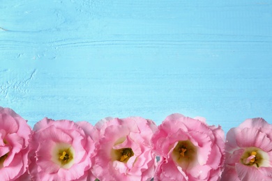 Flat lay composition with beautiful Eustoma flowers on wooden background