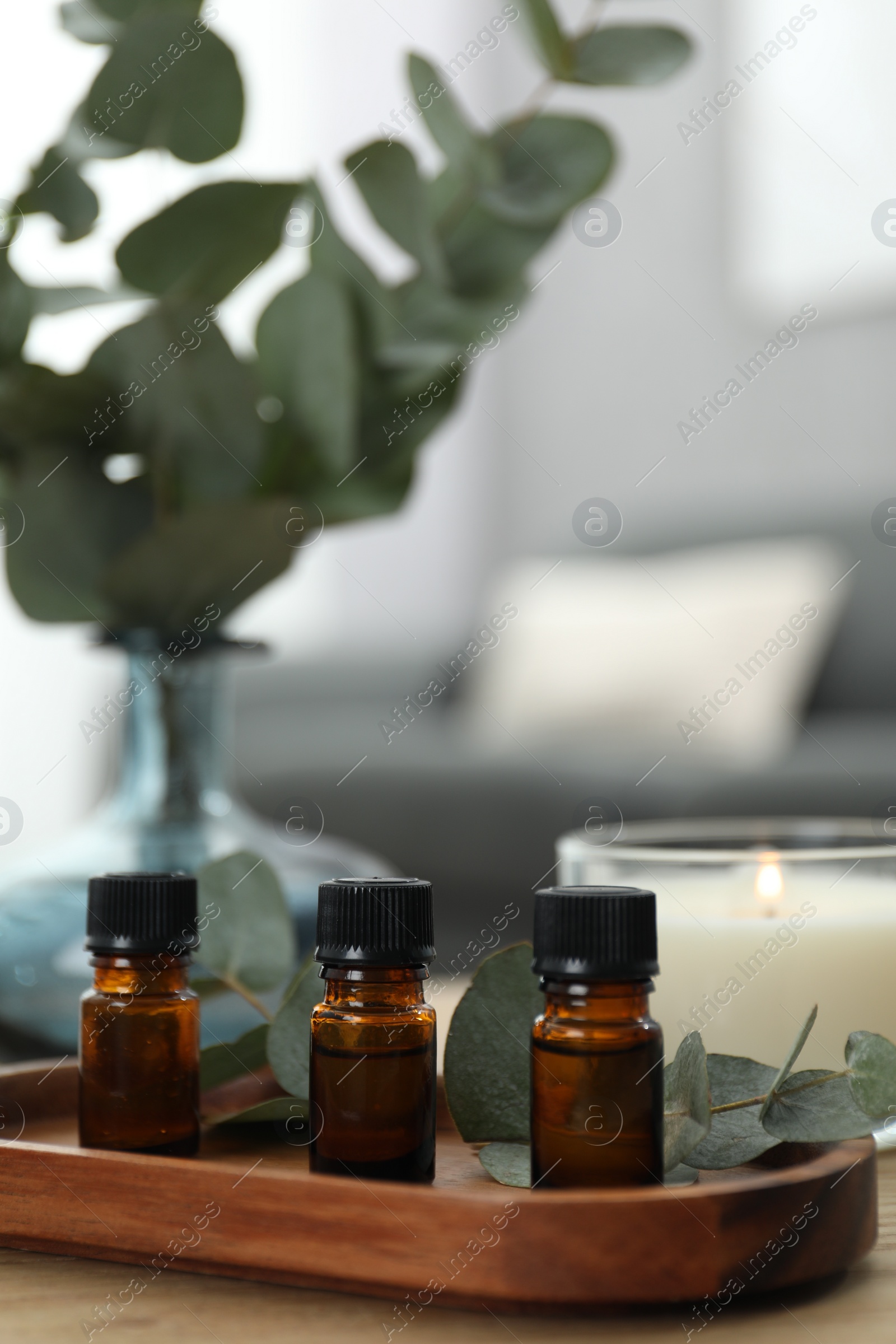 Photo of Aromatherapy. Bottles of essential oil and eucalyptus leaves on table