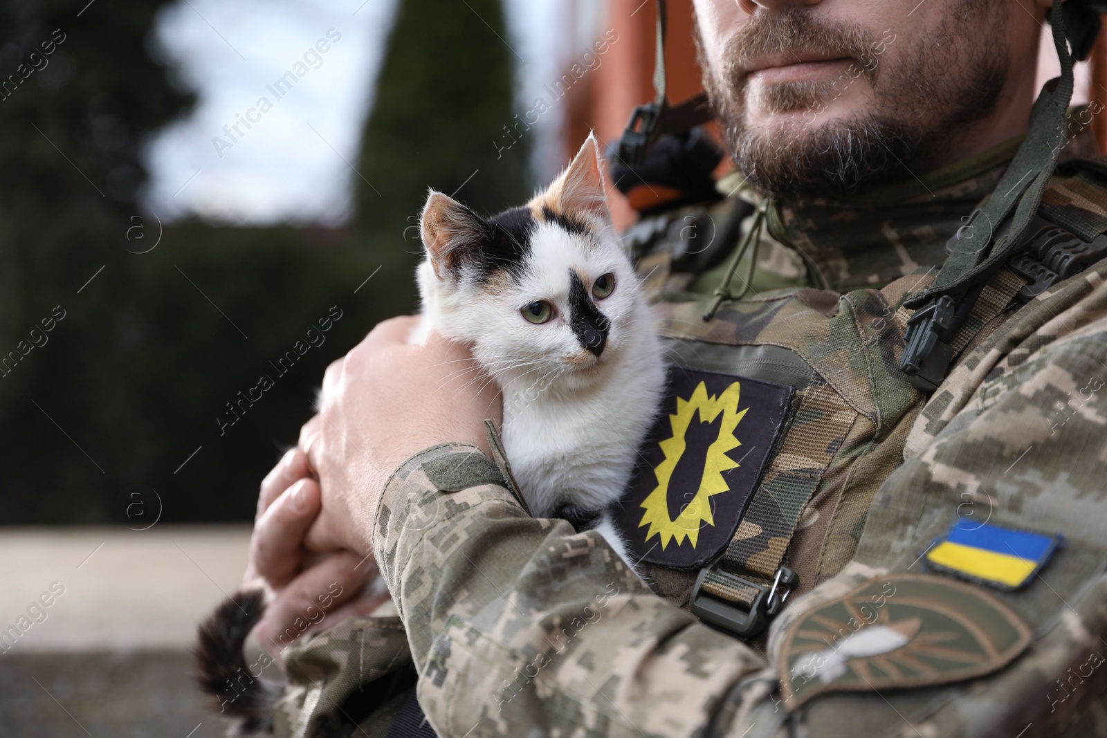 Photo of Ukrainian soldier with stray cat outdoors, closeup