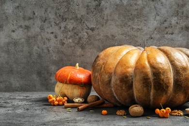 Photo of Different pumpkins with space for text against gray wall. Autumn holidays