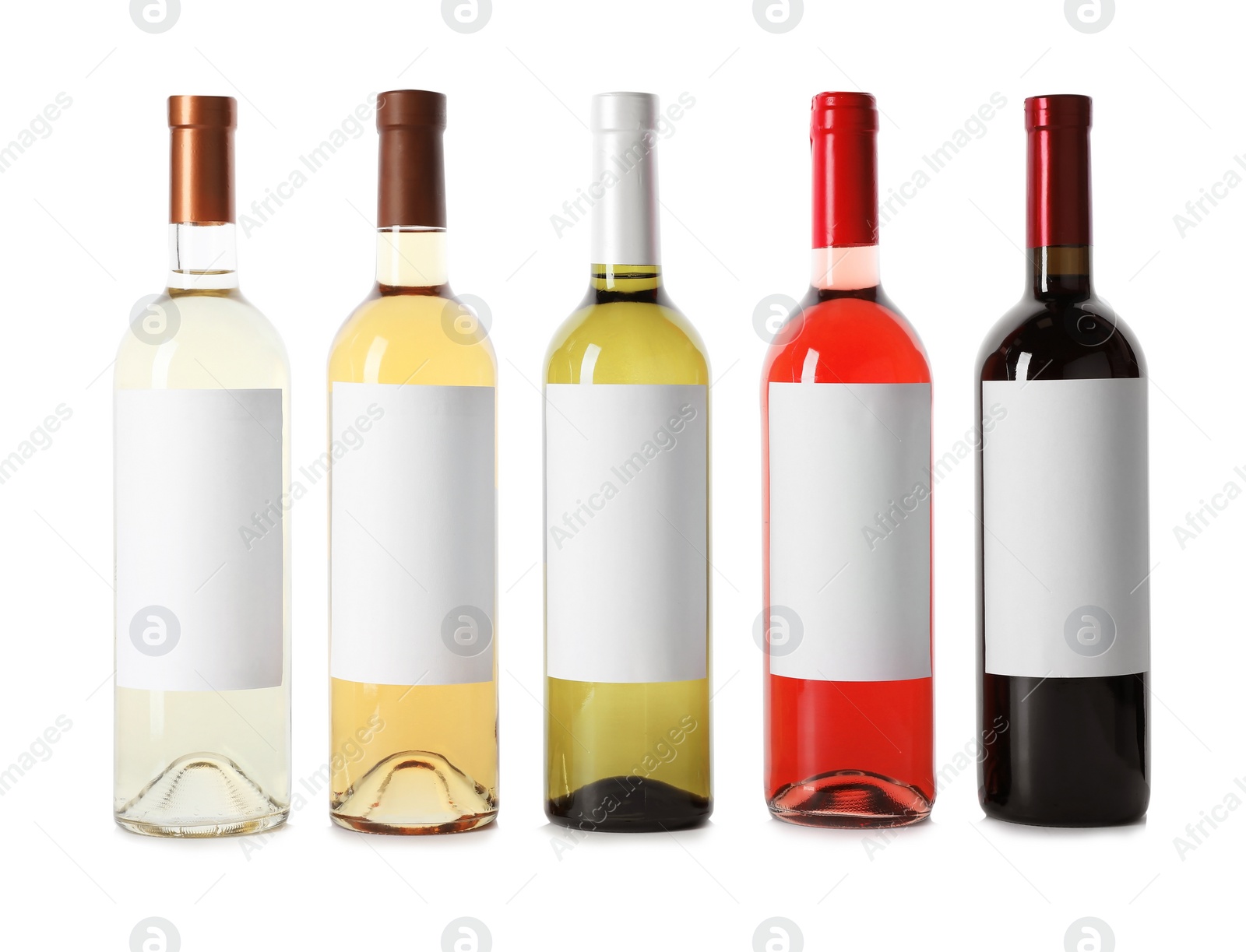 Photo of Bottles of delicious wines with blank labels on white background