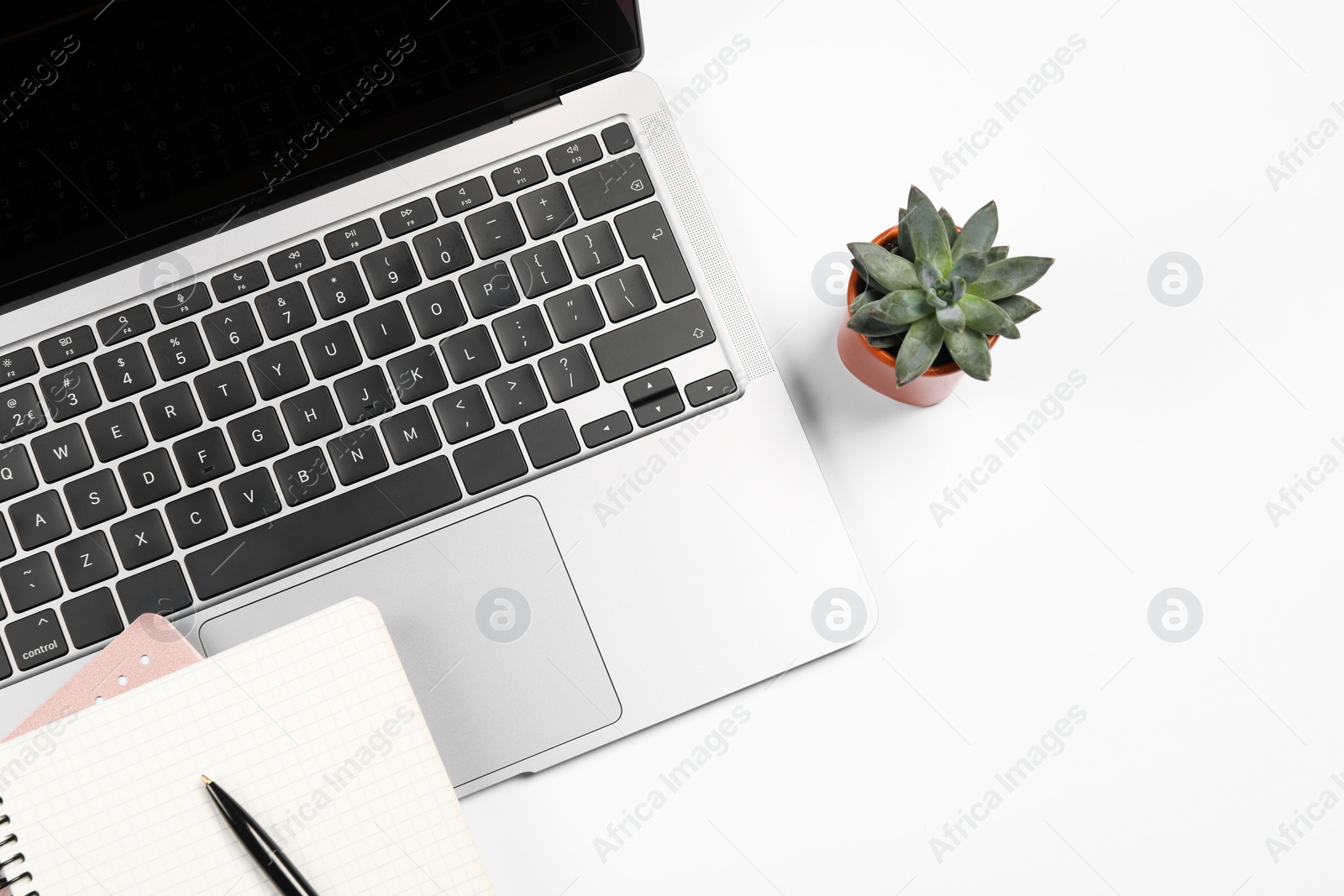 Photo of Modern laptop, houseplant, notebooks and pen on white background, flat lay