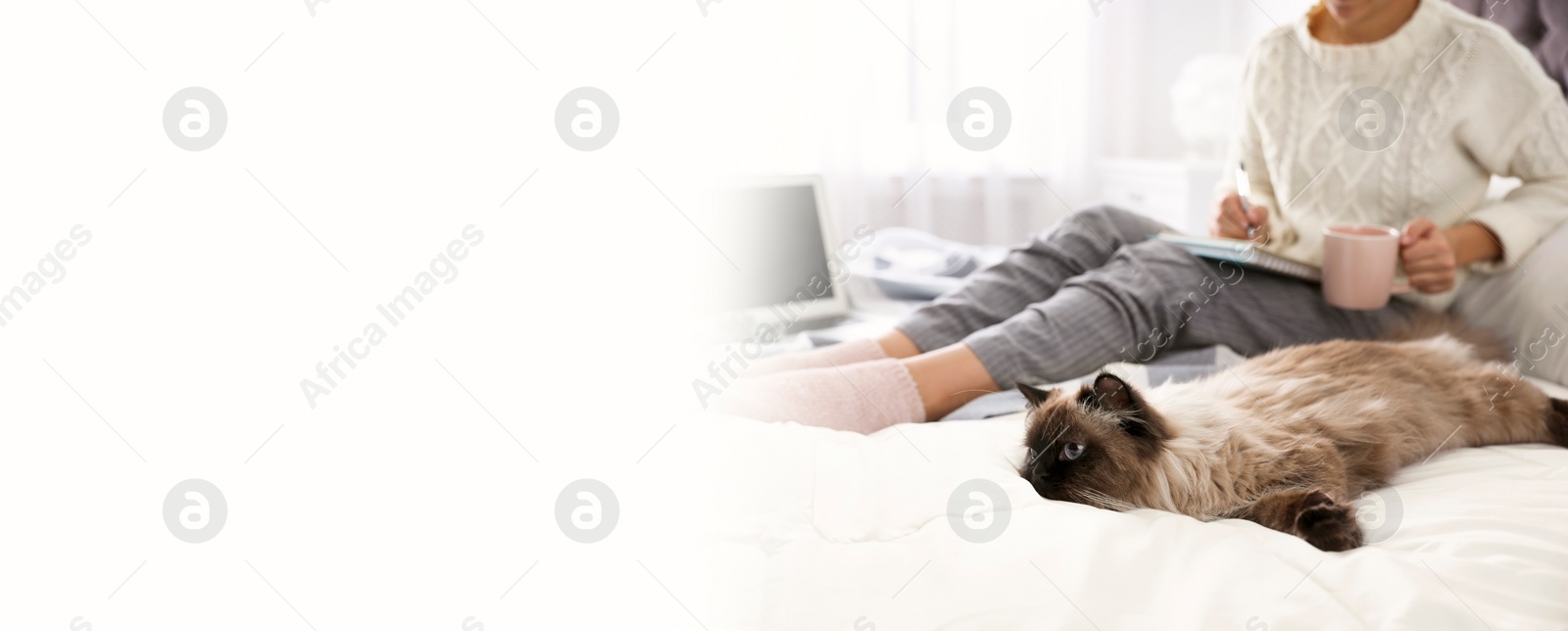 Image of Woman with her cute pet at home, space for text. Banner design