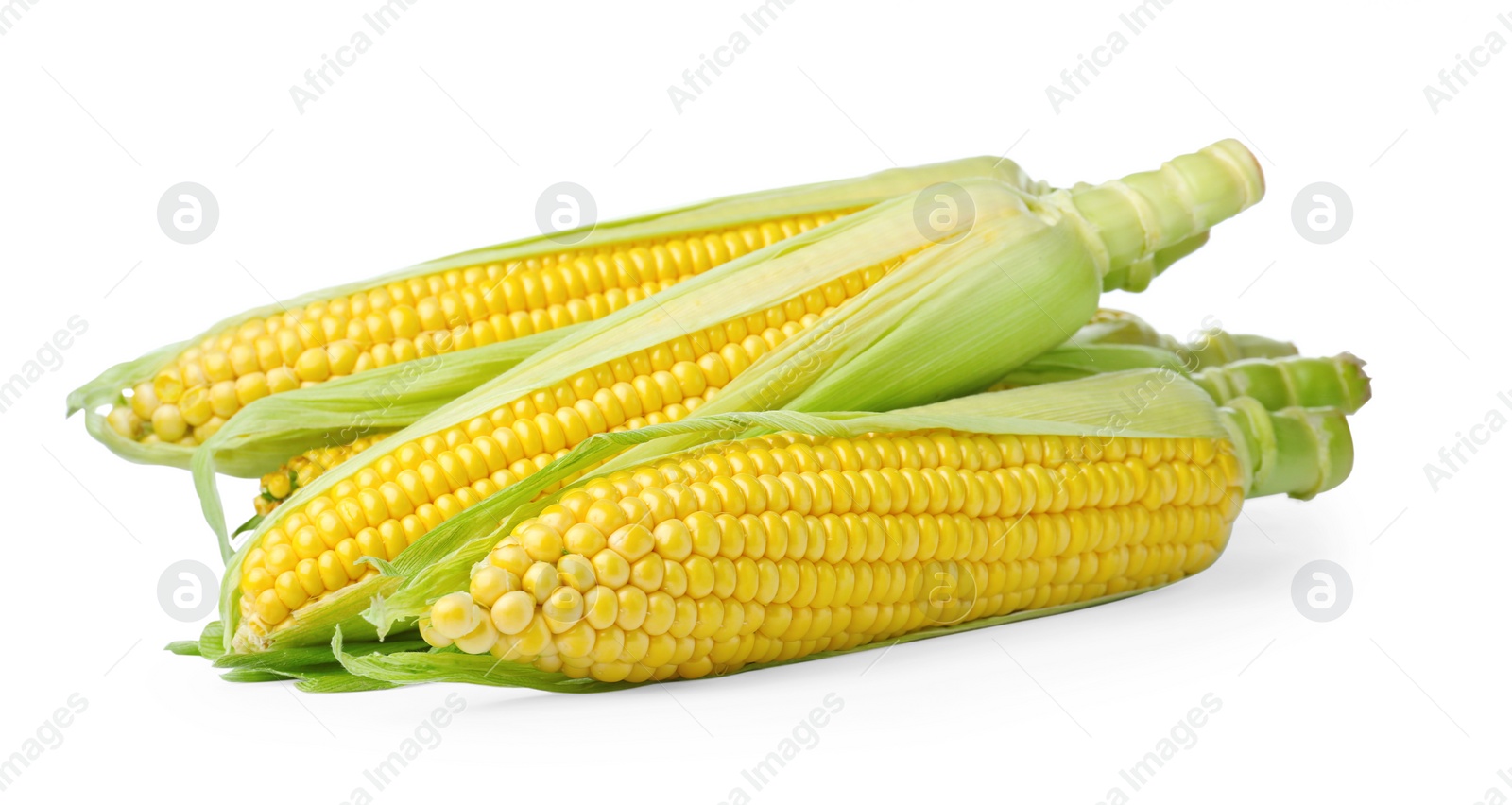 Photo of Tasty fresh corn cobs isolated on white