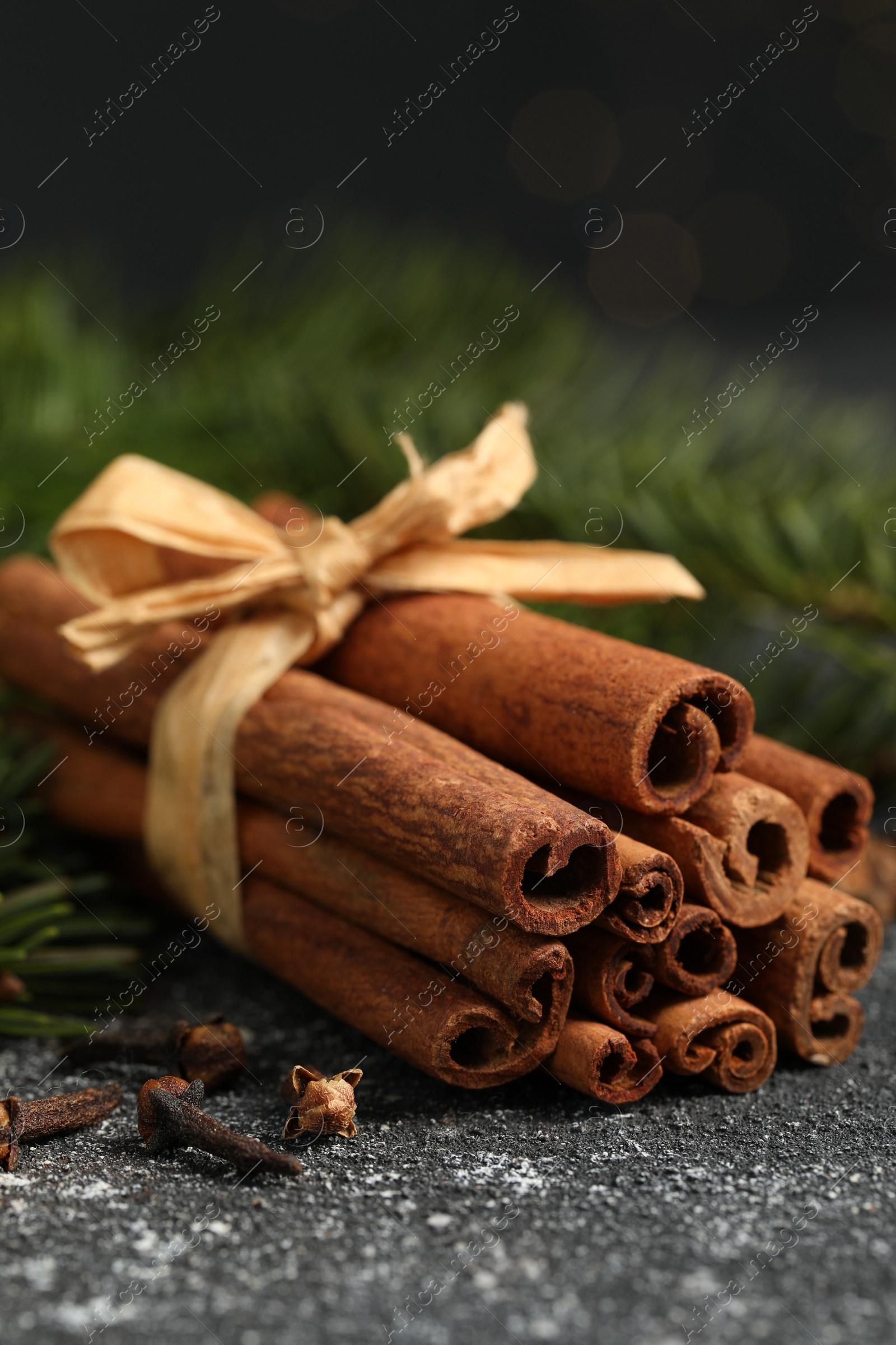 Photo of Different spices. Aromatic cinnamon sticks, clove seeds and fir branches on dark gray textured table, closeup