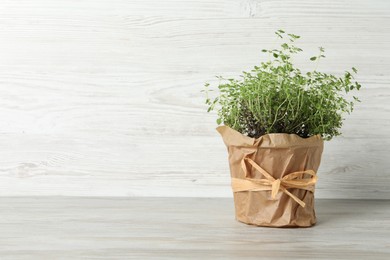 Photo of Aromatic green potted thyme on light wooden table, space for text