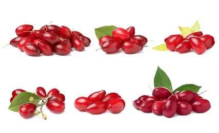 Image of Set of ripe red dogwood berries on white background