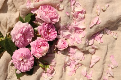 Photo of Beautiful tea roses and petals on beige fabric, above view