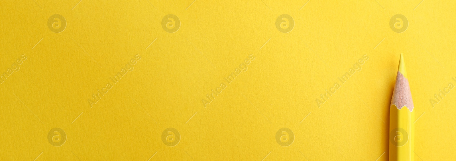 Image of Color pencil on yellow background, top view with space for text. Banner design