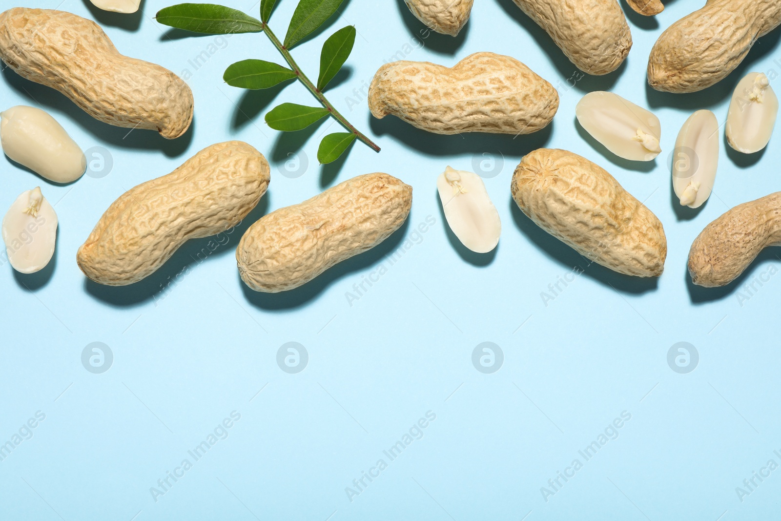 Photo of Fresh peanuts and twig on light blue background, flat lay. Space for text