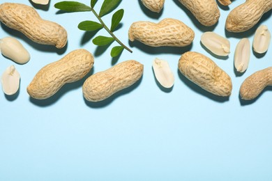 Fresh peanuts and twig on light blue background, flat lay. Space for text