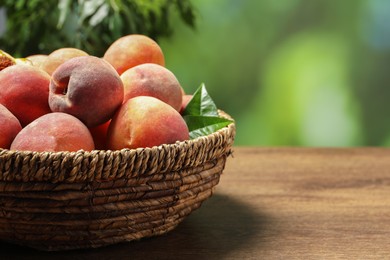 Photo of Many whole fresh ripe peaches in basket on wooden table against blurred background, closeup. Space for text