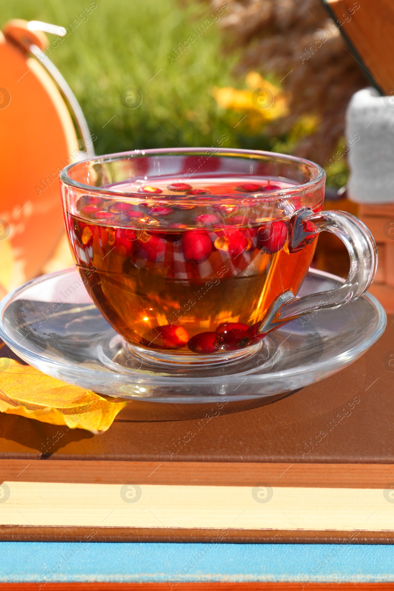 Photo of Cup of tea with hawthorn berries on books outdoors