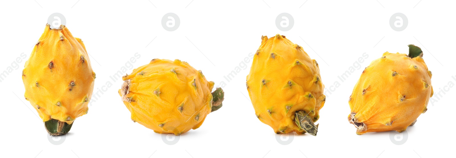 Image of Set with delicious yellow dragon fruits (pitahaya) on white background. Banner design