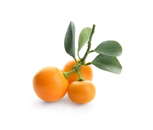 Photo of Branch of ripe tangerines isolated on white. Tasty citrus fruit