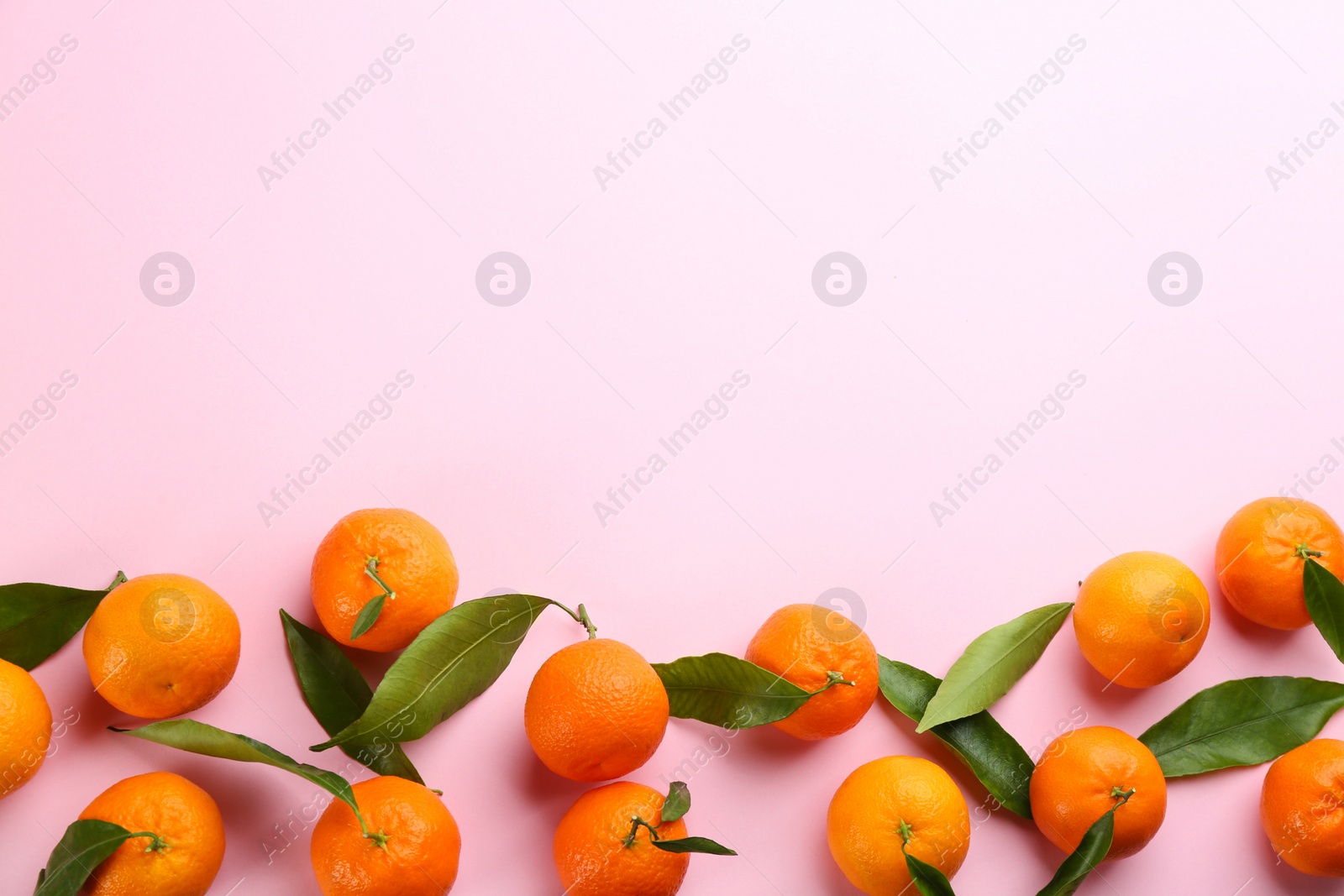 Photo of Fresh ripe tangerines with green leaves on pink background, flat lay. Space for text