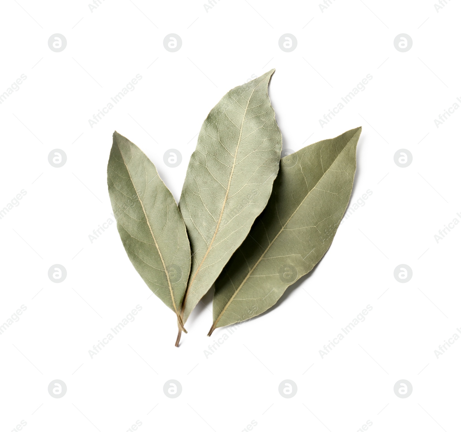 Photo of Aromatic bay leaves on white background, top view