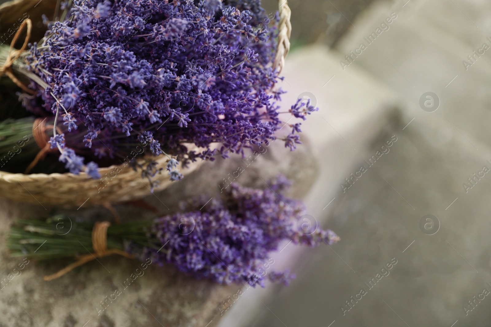 Photo of Wicker basket with beautiful lavender flowers outdoors, closeup