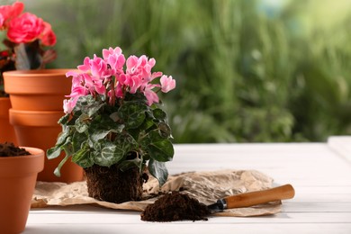 Beautiful flower, pots and trowel on white wooden table outdoors. Space for text