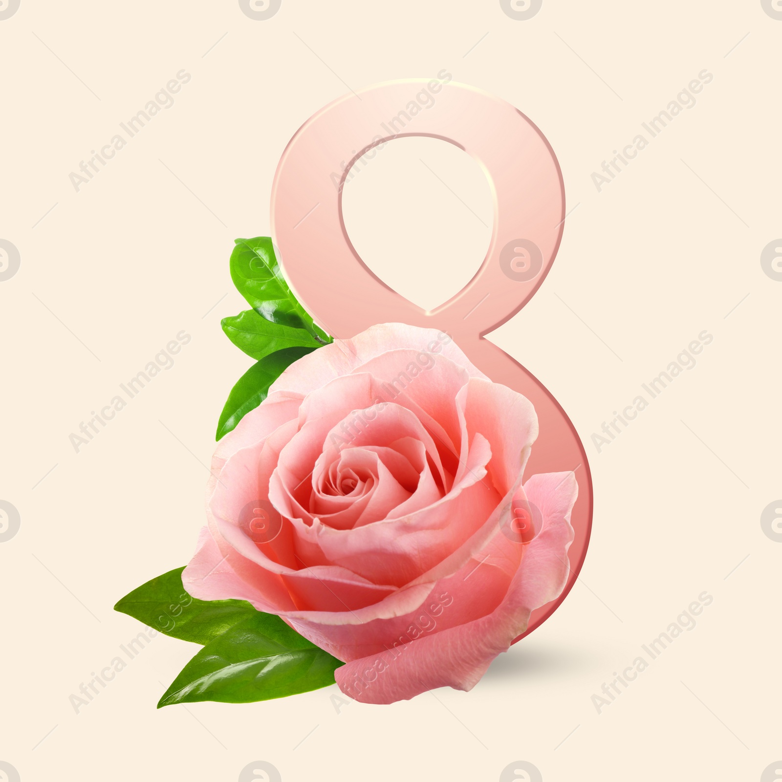 Image of March 8 - International Women's Day. Greeting card design with number 8 and rose on beige background