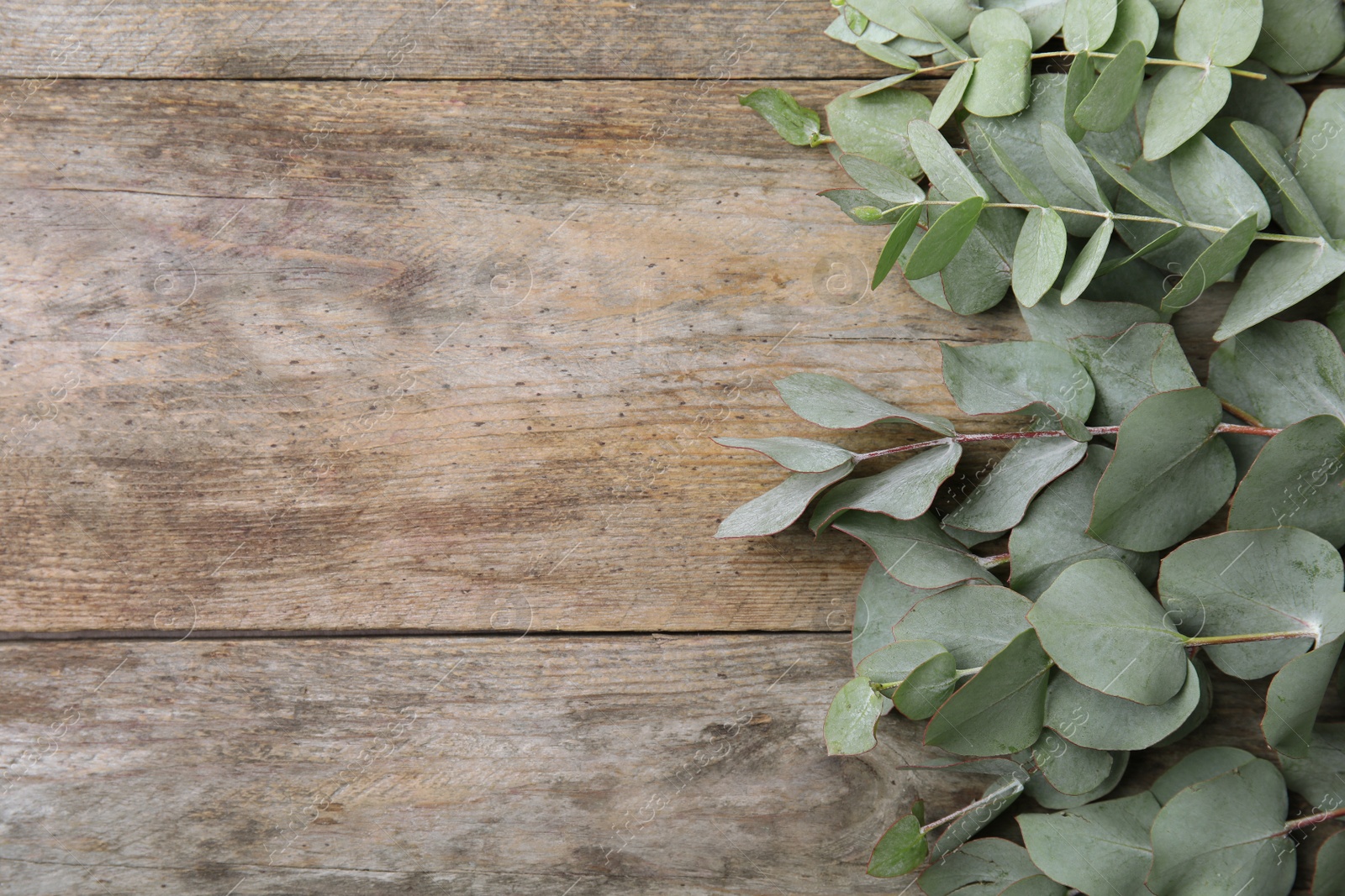 Photo of Flat lay composition with fresh eucalyptus leaves and space for design on wooden background