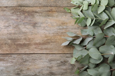 Flat lay composition with fresh eucalyptus leaves and space for design on wooden background