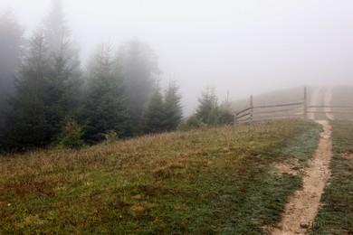 Picturesque view of path to foggy forest. Beautiful landscape
