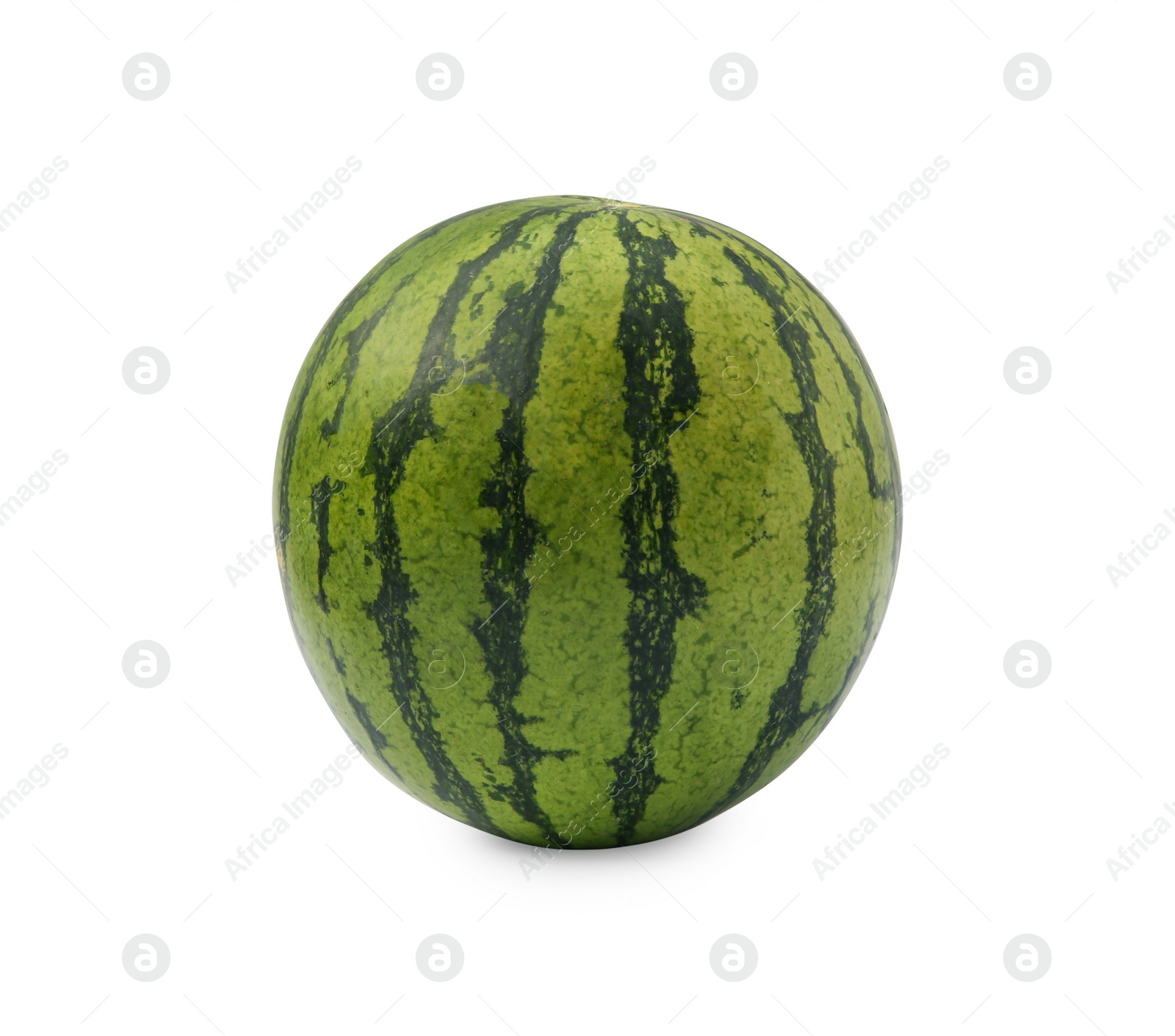 Photo of One whole ripe watermelon isolated on white