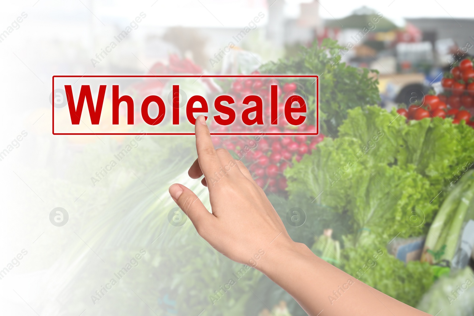 Image of Woman clicking Wholesale button and blurred view of market counter with fresh goods on background 