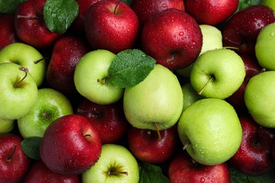 Photo of Fresh ripe green and red apples with water drops as background, top view