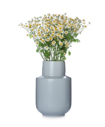 Photo of Vase with beautiful chamomile flowers isolated on white