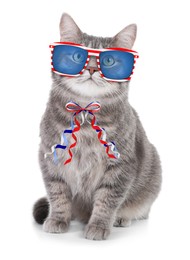 Image of Cute cat with sunglasses and bow on white background. Concept of federal holidays in USA