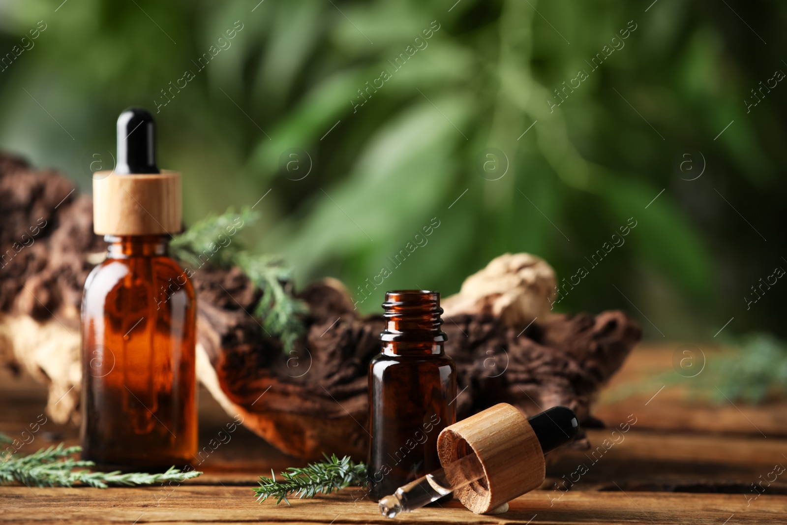 Photo of Bottles of juniper essential oil and fresh twigs on wooden table against blurred background, space for text