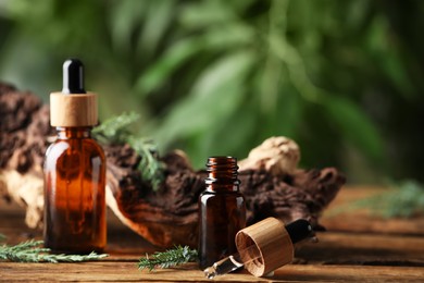 Bottles of juniper essential oil and fresh twigs on wooden table against blurred background, space for text