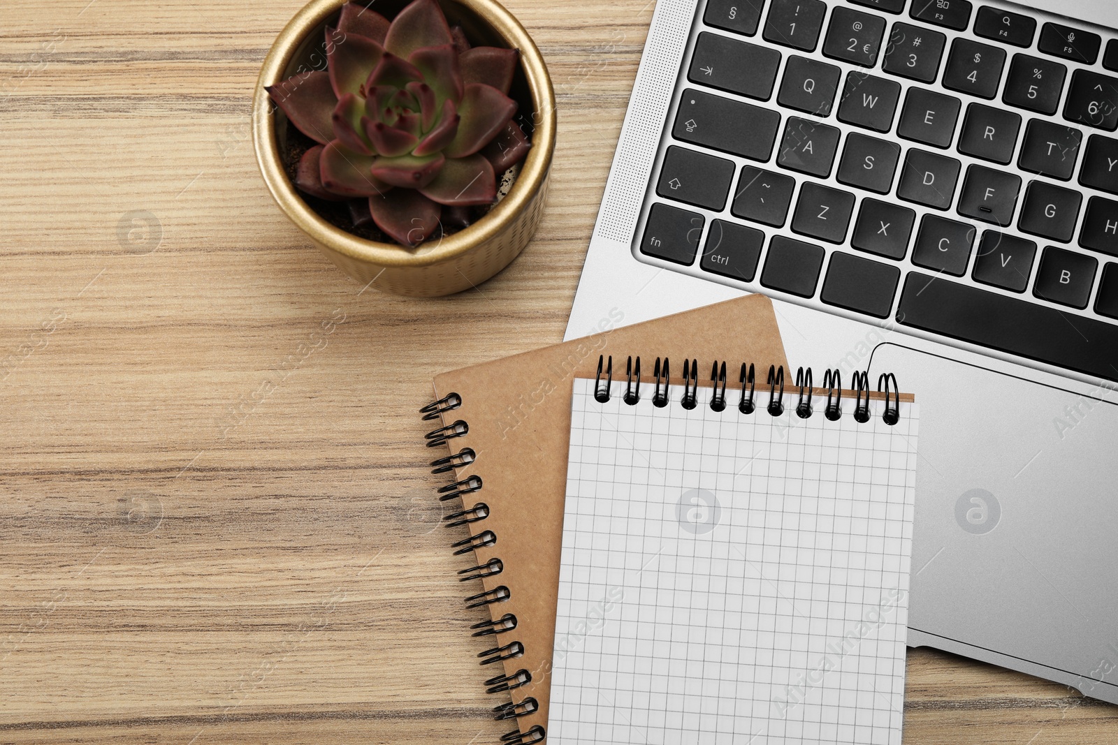 Photo of Modern laptop, notebooks and houseplant on wooden table, flat lay. Space for text