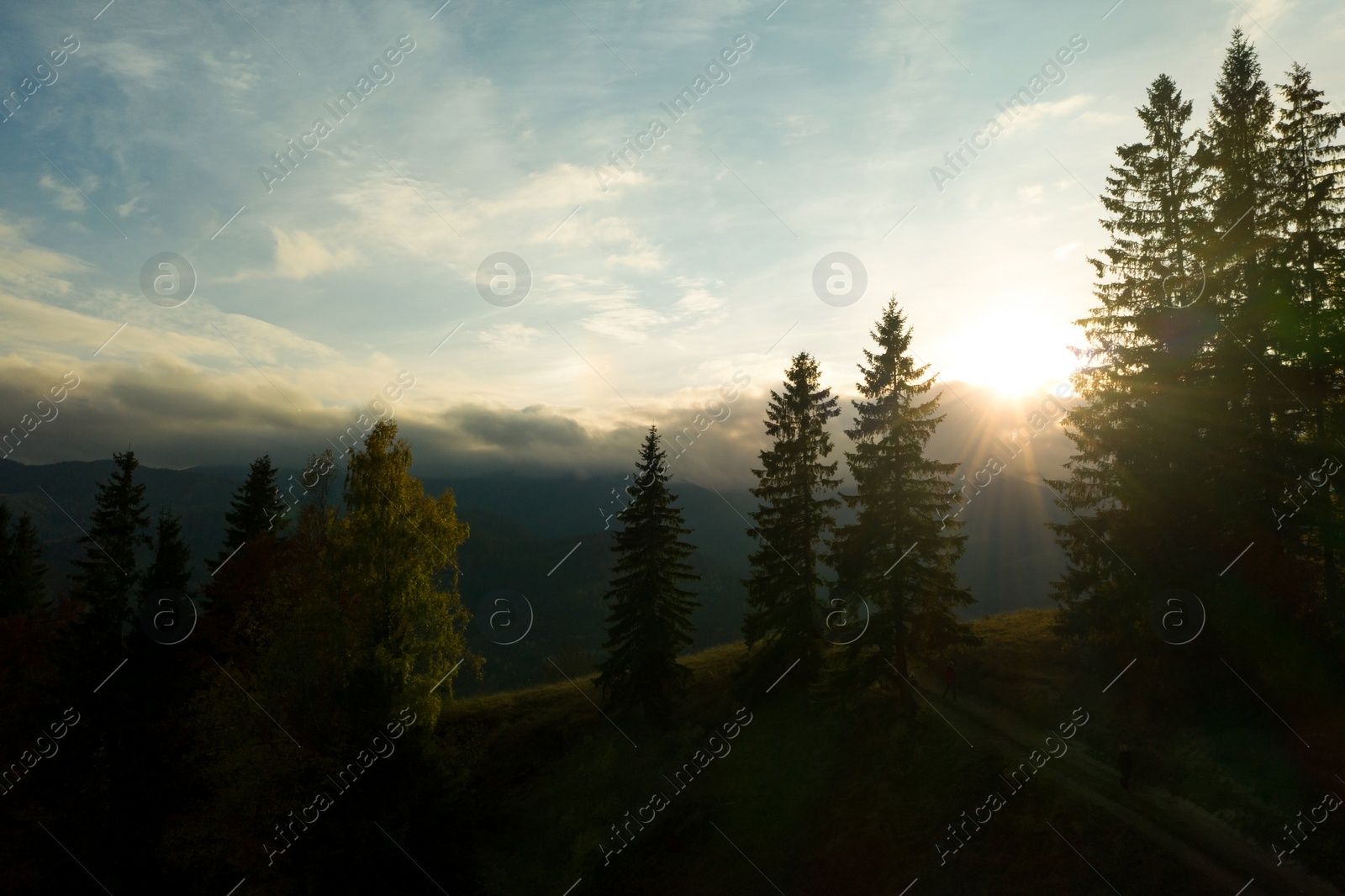 Image of Aerial view of beautiful pathway in mountain forest at sunrise