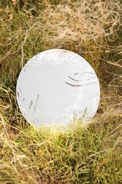 Photo of Spring atmosphere. Round mirror among grass and spikelets on sunny day, top view