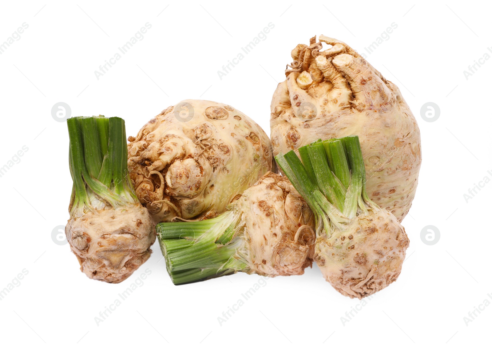 Photo of Many raw celery roots isolated on white