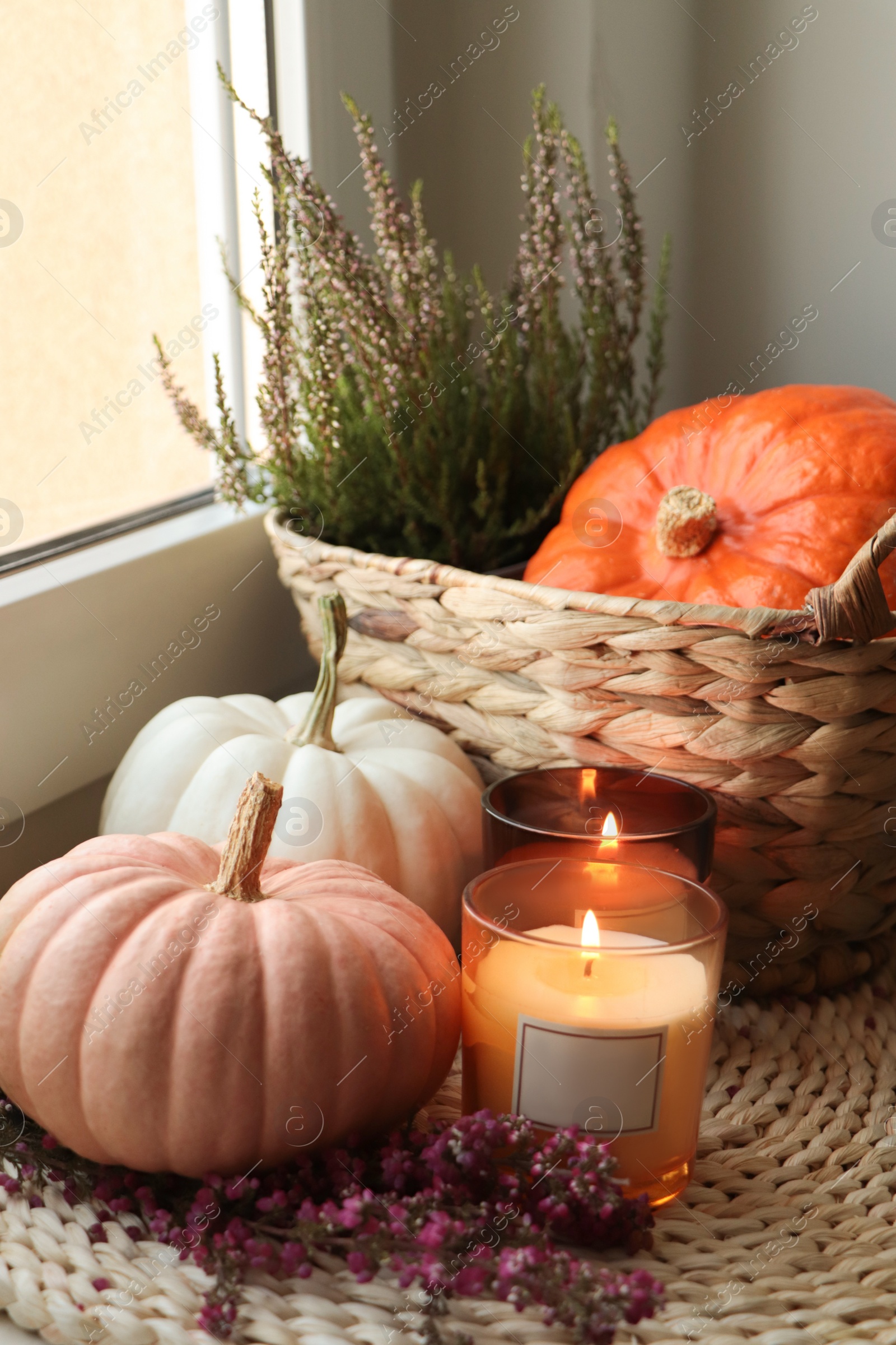 Photo of Wicker basket with beautiful heather flowers, pumpkins and burning candles near window indoors