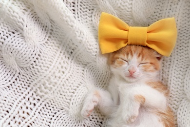 Photo of Cute little kitten with bow sleeping on white knitted blanket, top view. Space for text