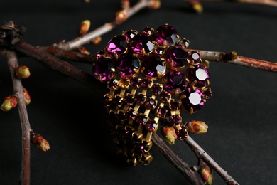 Photo of Branches with beautiful jewelry on black background