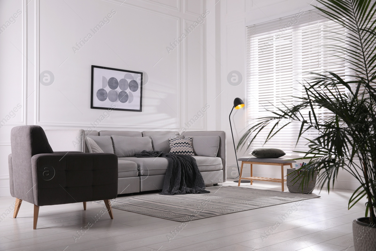 Photo of Cozy living room interior with comfortable grey sofa and armchair