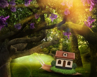 Image of Fantasy world. Magic snail with its shell house moving in beautiful forest