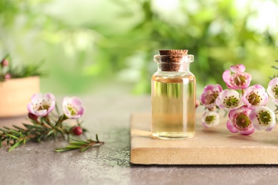 Photo of Composition with bottle of natural tea tree oil and plant on table against blurred background, space for text