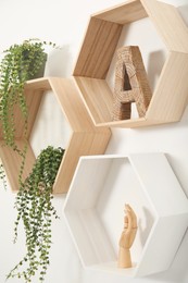 Photo of Honeycomb shaped shelves with decorative elements and houseplants on white wall, closeup