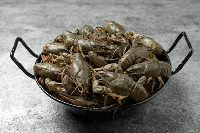 Fresh raw crayfishes on grey table. Healthy seafood