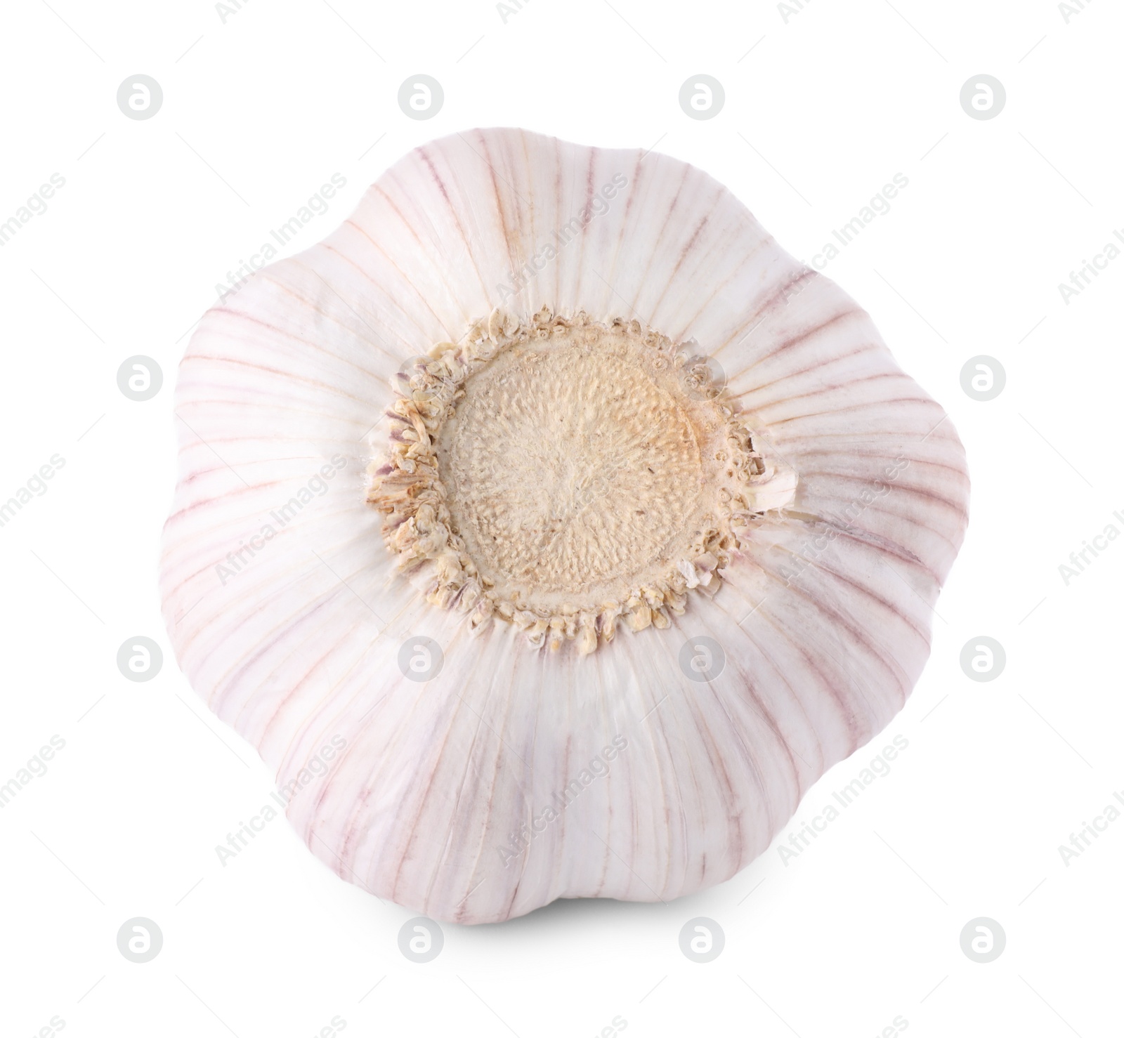 Photo of Head of fresh garlic isolated on white