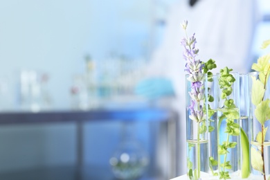 Photo of Test tubes with different plants in laboratory, closeup. Space for text