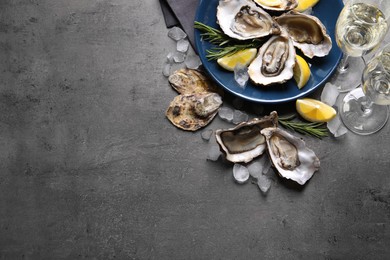 Photo of Fresh oysters with lemon, rosemary and ice on grey  table, flat lay. Space for text